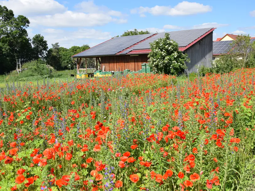 Bienenhof Keil in Willanzheim